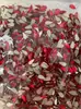 Taladro para vidrio grande, mediano y grande de fondo plano con forma de taladro para uñas rojo de mono pequeño con material para uñas DIY arte de uñas