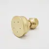 Rociador Eléctrico Agrícola Boquilla de Cobre Ventilador Extendido de Forma de Abanico Boquilla Atomizadora Ajustable de Alta Presión Pistola Pulverizadora de Doble Boquilla Máquina Aplicadora de Pesticidas
