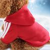 Roupas para cachorros outono e inverno pequeno cão de pelúcia urso Bome dachshund filhote de cachorro suéter de inverno