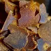 Rodajas auténticas de madera de agar natural, alto contenido de aceite, varias variedades de Qinan blanco, sin aditivos, fragancia de aromaterapia, madera de agar cruda