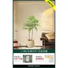 Planta en Maceta de Piso Nandina Domestica, Planta Verde Artificial Grande para Interiores, Decoración de Lujo Ligero para Sala de Estar, Árbol Artificial