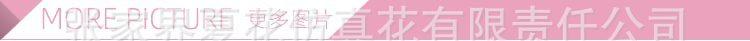 欧月花头_19.jpg