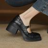 Zapatos para Mujer Modelo Nuevo 2026 para Todas las Estaciones, Zapatos Mary Jane de Tacón Alto Estilo Retro con Punta Redonda, Correa Única y Suela Gruesa para Mujer