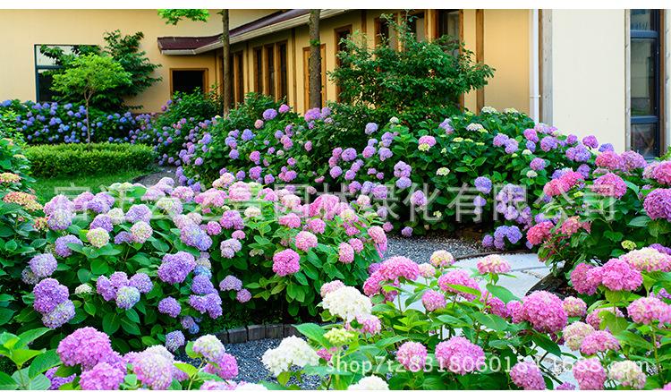 鍏粰缁ｇ悆鑺辫缁?