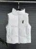 Colete Cápsula Canada Goose Estilo Igual ao de Zhao Lusi Versátil Quente Moda Elegante 2025 Outono e Inverno Novo Produto Putian