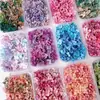 Flores Secas, Flores Preservadas, Hortensias de Color Degradado, Kit de Materiales Hechos a Mano para DIY, Cubierta de Vidrio para Pegar en la Cara, Flores que No se Marchitan