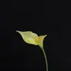 Eva Lírio-Calla de Pétala Dupla Flor Artificial Flor de Casamento Decoração de Sala de Estar Buquê de Flores Adereços para Fotografia Flor Artificial