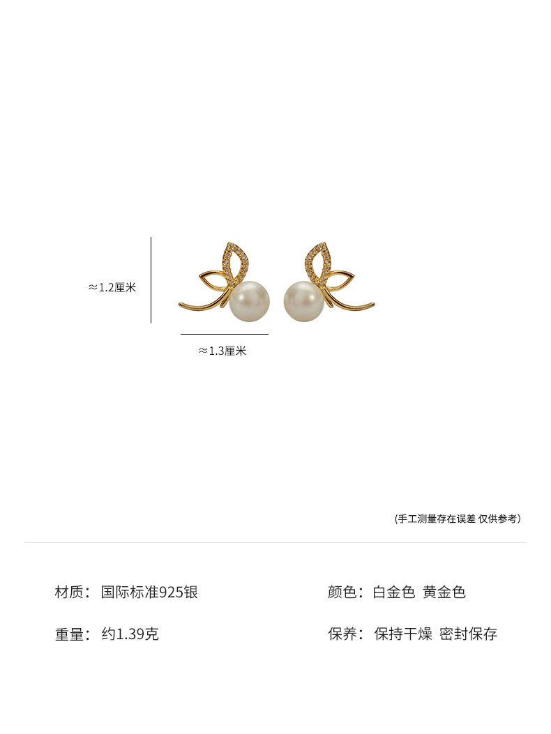 参数.jpg