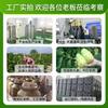 Polvo de Fruta Noni Polvo de Enzimas Polvo de Noni Polvo Daxi Minori Totalmente Disuelto en Polvo Shuile Xiaosu Hogar