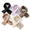 Cachecol de Cashmere Feminino 100% Cashmere Puro Outono Inverno Versátil Cor Sólida Tricô Perfurado Quente Versátil Cachecol de Proteção para o Pescoço