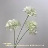 Arreglos florales de boda en tonos blancos: caminos de flores en el suelo, flores para mesa alta, paredes de flores, rosas, hortensias, peonías, phalaenopsis y jacintos