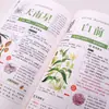 Compêndio Ilustrado de Matéria Médica: Edição Ilustrada Colorida em Linguagem Simples, Leitor de Conhecimento Médico, Livro de Interpretação de Conhecimento Farmacêutico