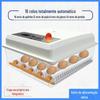 Incubadora Bandeja Giratória Automática de Ovos Incubadora Ovo de Ganso Codorna Pintinho Incubadora Automática Inteligente