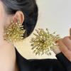 Pendientes Europeos y Americanos Exagerados Grandes para la Cena Pendientes de Fuegos Artificiales con Cuentas de Cristal Gris Pendientes de Personalidad Única de Nicho de Moda