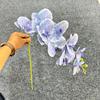Phalaenopsis Simulada de 9 Cabeças Filme 3D Exclusivo Transfronteiriço Flor Única Artificial ao Toque Arranjo Adereços para Fotografia de Casamento ao Ar Livre
