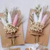 Flores Secas, Flores Preservadas, Ramilletes de Boda para Novia y Dama de Honor, Decoraciones para Cajas de Regalo, Vestidos para Fiestas de Celebración, Mini Ramos, Accesorios