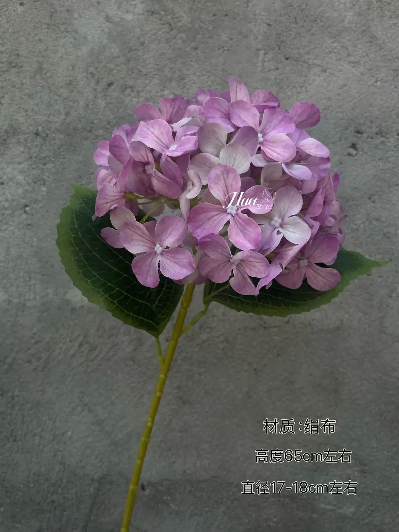 微信图片_20251007093540_51_17.jpg