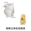 Molde de Silicone para Esquilos Segurando Velas, Cobrindo Boca, Olhos e Orelhas; Figurinhas de Animais de Resina DIY Segurando Pássaros; Enfeites de Gesso