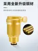 Válvula Baizhan Válvula de Purga Automática de Cobre para Calentadores Solares de Agua, Radiadores, Tuberías de Agua, Calefacción por Suelo Radiante y Calderas de Pared