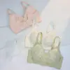 Cómodo Transpirable Tirar Hacia Arriba Sexual Ropa Interior Espalda Sin Aro de Acero Ajustable Pechos Paramamarios Pecho Pequeño Sujetador Push-up
