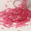 [Polvo de Brillo Lentejuelas de 3 mm 4 mm] Bordado Francés DIY Bordado con Cuentas Bordado Estéreo Accesorios para Ropa Cosidos a Mano Accesorios