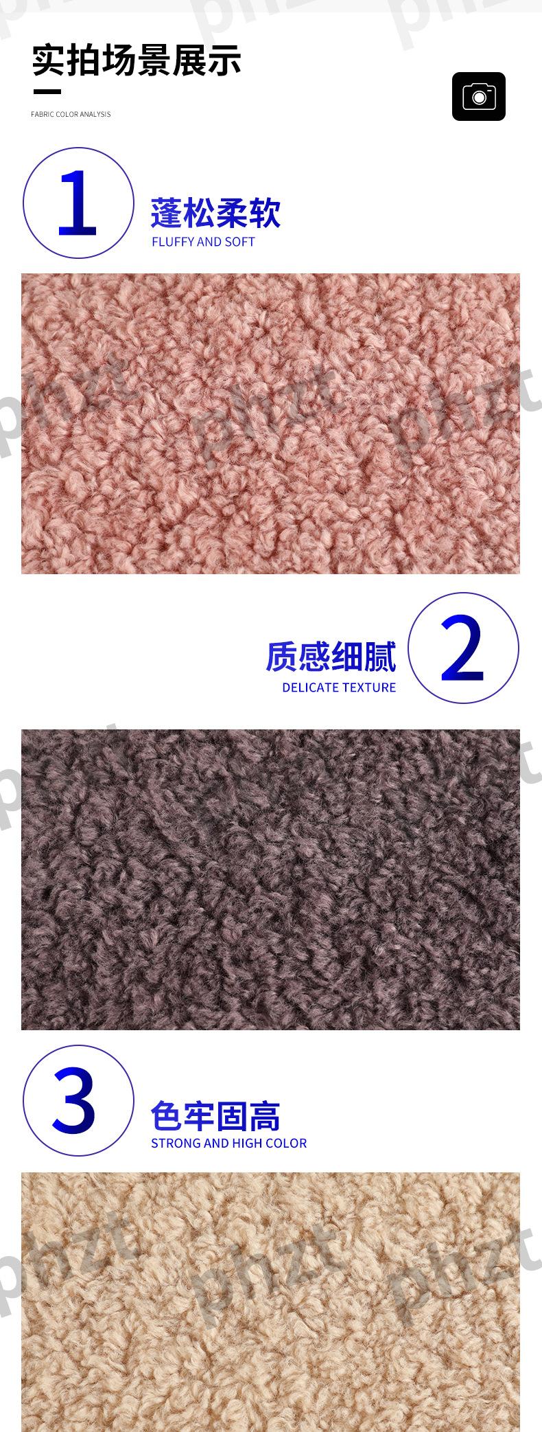 泰迪卷曲绒_06.jpg