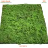 Musgo Verde Biónico Musgo Artificial Adornos de Micro Paisaje Césped Planta en Maceta Decoración Paisajismo Felpa Filamentosa Musgo Falso Vegetación