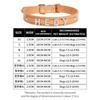 Coleira para Cão Acessórios Diamante Anel de Pescoço Letra Suprimentos para Coleira de Animal de Estimação Decoração de Nome DIY Coleira de Couro PU