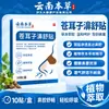 Yunnan Bencao Jisheng Xanthium Spinosum Parche para Alivio de la Congestión Nasal Parche de Cuidado Nasal Parche Nasal Transpirable de Hierbas Parche de Ajenjo Ventas Directas de Fábrica