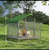 Túnel para gallinero exterior, Pista de correr para pollos al aire libre, Jaula pasarela linda de malla de alambre para mascotas y pollos, Gallinero grande para cría de pollos, patos y gansos