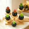 Venda Quente Transfronteiriça Suculentas Falsas Mini Plantas em Vasos de Plástico Suculentas de Simulação Presentes Plantas de Comércio Exterior Pequenos Enfeites para Casa