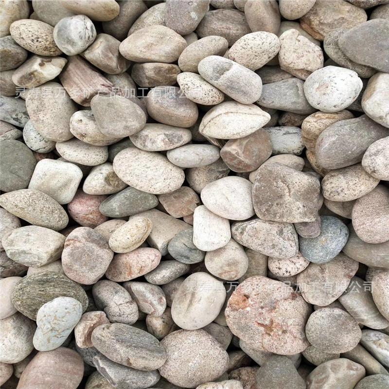 mmexport1562824783882