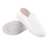 Suministros del Fabricante Lona Protectora de PVC Toalla Mediana Zapatos Industriales Limpios Sin Polvo Suela Suave Multicolor Zapatos de Trabajo Limpios Zapatos Antiestáticos