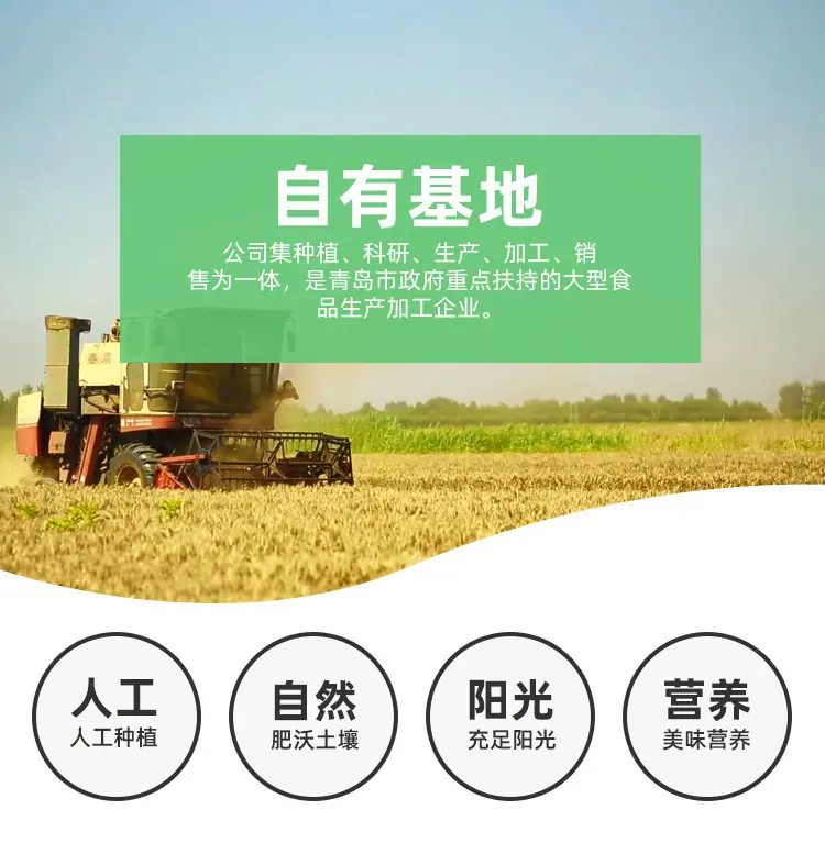 有机全麦粉_03.jpg