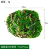 Pedra de Musgo Artificial Parede de Plantas Verdes Musgo Bonsai Bonsai Micro Paisagismo Enfeite DIY Decoração Pedra de Cabelo Artificial Decoração