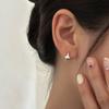 Brincos Pendentes de Prata de Lei 925 para Mulheres, Luxo Acessível, Versátil, Brincos de Alto Nível, Brincos Simples de Moda para Furo na Orelha
