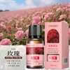 Óleo Essencial de Aromaterapia Solúvel em Óleo 10ml Fragrância de Longa Duração Máquina de Aromaterapia Difusor de Óleo Essencial Difusor de Pedra Madeira Vela de Óleo Essencial DIY