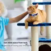 Nuevo Estuche Rastreador Apple Airtag Collar de Posicionamiento Anti-Pérdida para Mascotas Gato Collar Reflectante con Cascabel