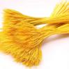 Fabricante de Flor Seca de Espiga de Trigo Yunnan Atacado Espiga de Trigo Abertura Cevada Flor Seca Decoração para Casa Buquê de Flor Seca de Espiga de Trigo