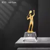 Troféu Pequeno de Metal e Cristal Personalizado com Gravação Crianças de Jardim de Infância Crianças Escola Primária Adolescentes Formatura Jogos de Canto e Dança