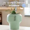 Maceta de Cerámica con Plato para Uso en el Hogar, Exquisita Estilo Ins Blanco Lujo Ligero Minimalista Estilo Crema Maceta para Orquídeas Suculentas