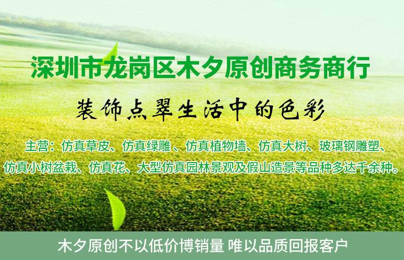 12693837956_1067605480