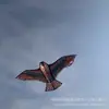 Weifang kite New Eagle Kite pássaro repelente kite simulação Eagle pássaro pastoral assustar pipa fábrica atacado vendas