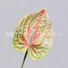 Flor Artificial Pintura al Óleo Amarilla Peonía Guanyin Loto Rosa Hemerocallis Adornos de Flores para Sala de Estar Boda Decoración de Flores Artificiales