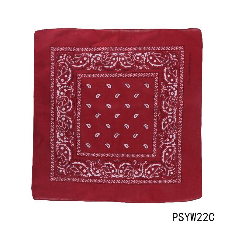 PSYW22C