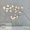 Linterna de fruta de carambola de simulación, fotografía de bodas, suministros de flores falsas, flores de simulación al por mayor, una generación de cabello