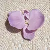 Cabeça de flor Phalaenopsis tamanho pequeno flor artificial flor falsa chapéu sapato de praia roupa flor decorativa flor DIY feita à mão material