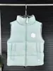 Colete Cápsula Canada Goose Estilo Igual ao de Zhao Lusi Versátil Quente Moda Elegante 2025 Outono e Inverno Novo Produto Putian