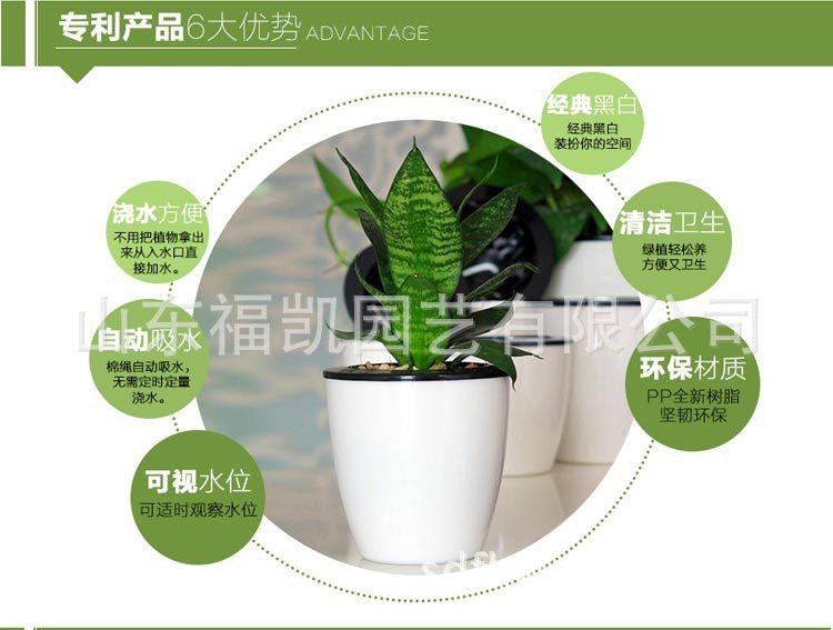懒人花盆新_06