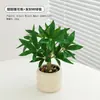 Plantas Simuladas Decoración Escandinava Pequeñas Plantas en Maceta Oficina Sala de Estar Escritorio Adornos Bonsái Interior Biónico Flores Falsas y Plantas Verdes